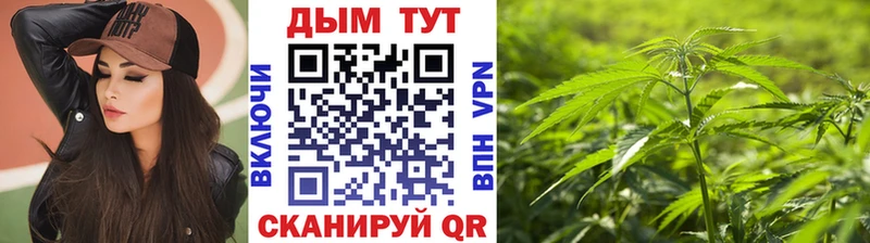 Купить наркотик аптеки Завитинск Метамфетамин  Каннабис  Амфетамин  МЕФ  A PVP  Гашиш 