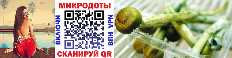 Псилоцибиновые грибы прущие грибы  магазин    Завитинск 